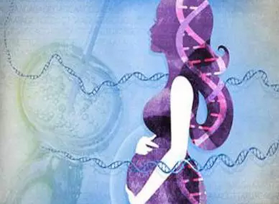 唐筛、无创、羊穿，该如何选择？