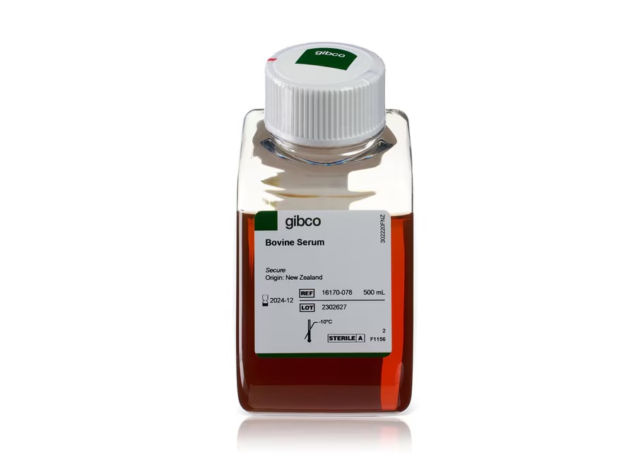 牛血清，新西兰来源