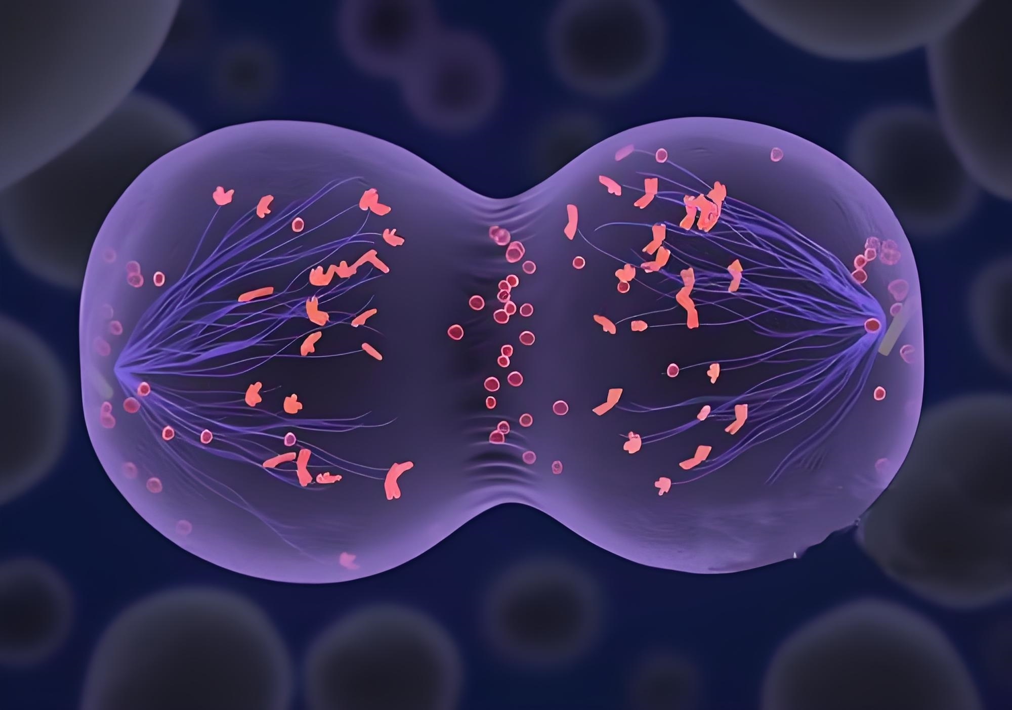 毛翠老师 | 即用型培养基联合CpG刺激技术，实现淋巴增殖性肿瘤的染色体异常检出率飞跃提升