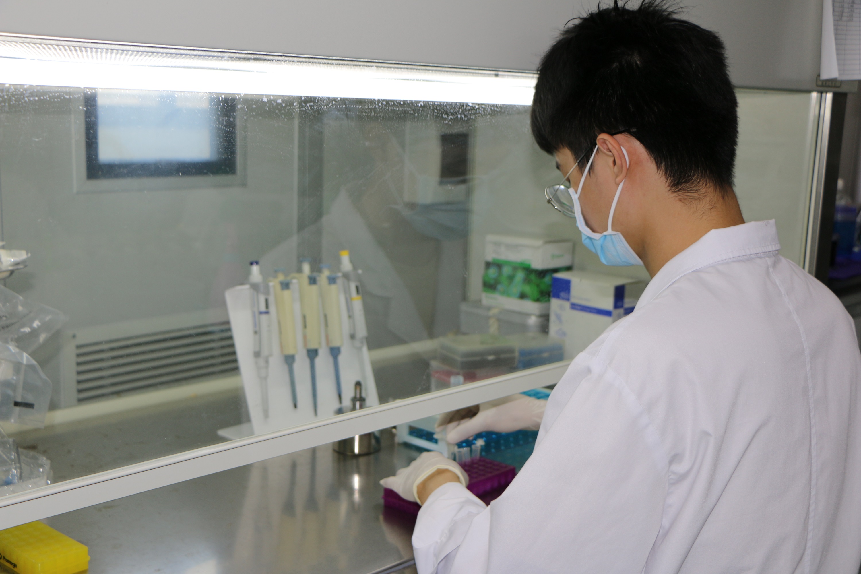 精准产前诊断的黄金搭档：达晖双：翔，染色体核型分析质效双升！